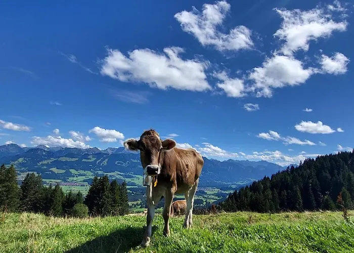 FeWo Allgäuliebe mit Wlan und Pool Oberstaufen Steibis