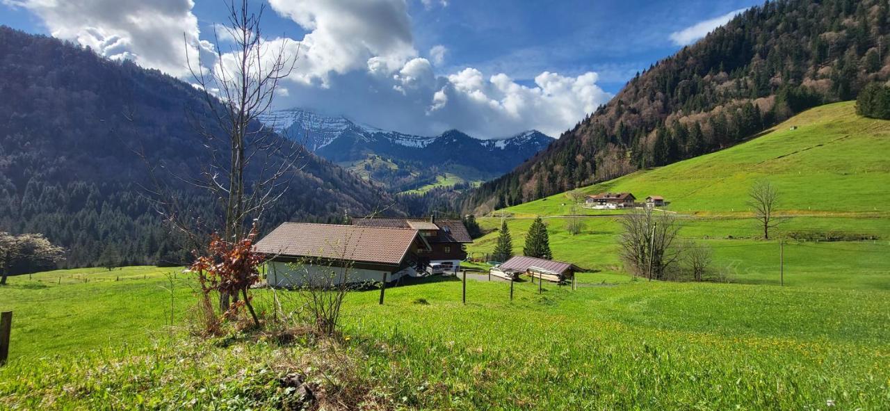 Allgäuliebe Mit Wlan Und Pool Steibis Apartment *